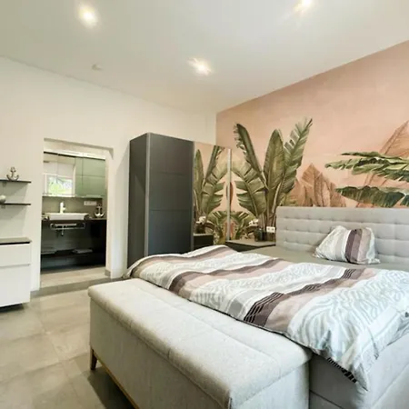 Appartement Speyer Ferienwohnung Apartment 5 *